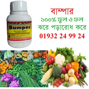 BUMPER | BUMPER PRICE IN BD | বাম্পার ফুল ও ফল ঝরা রোধকারী