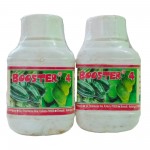 Booster-4