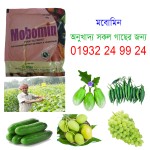 Mobomin | mobomin price in bd