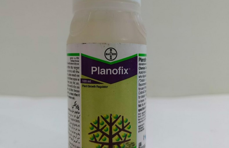 Planofix | Planofix price in bd |